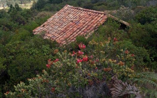 Se vende finca en tinjaca Boyaca