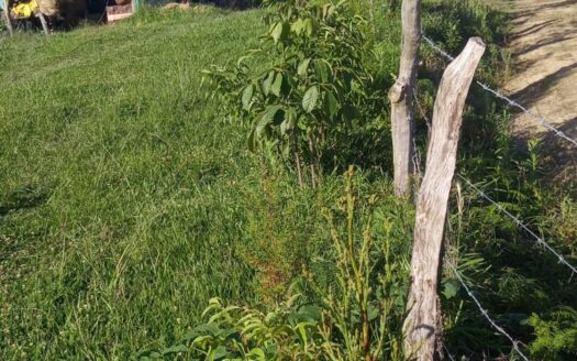 finca en moniquira